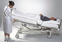 ��������� �������������� 13 ����